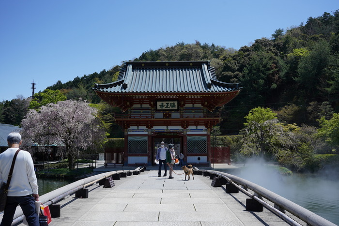 DSC094160009