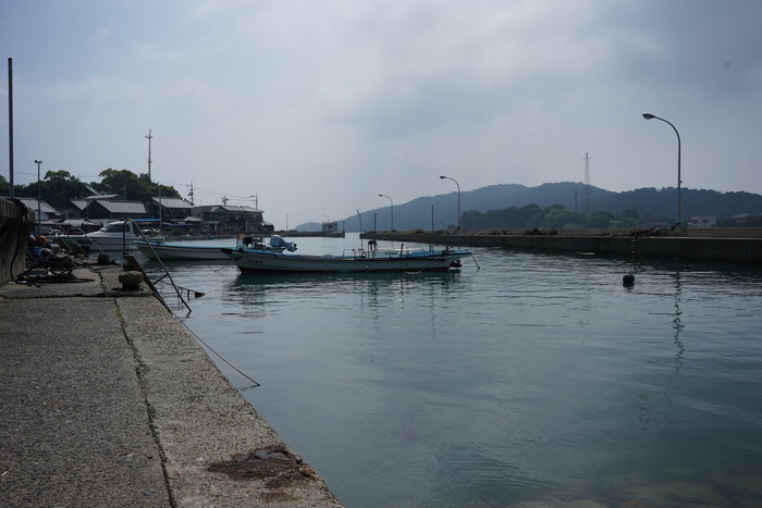 DSC09798
