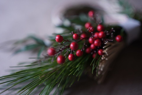 6CFA9786-2085-45B7-BF2A-3676D92F9464