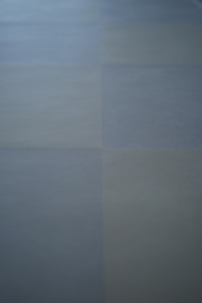 DSC070650001