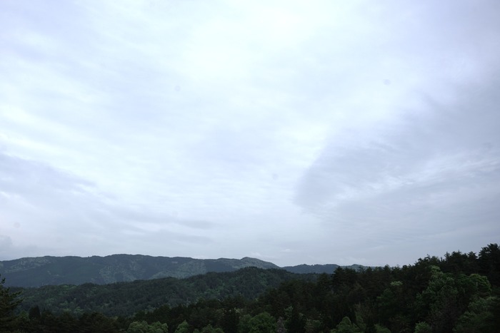 DSC09920