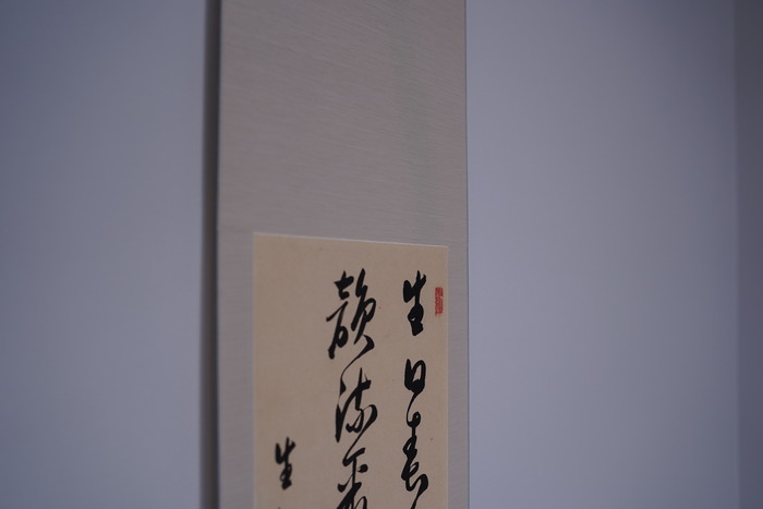DSC08517