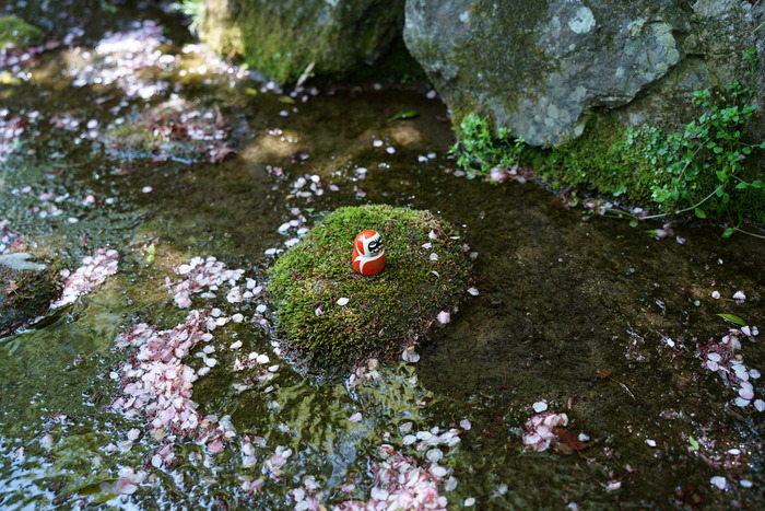 DSC093950003