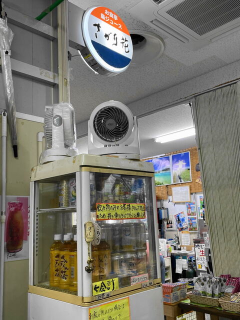 さがり花 食堂 沖縄 石垣島 仔猫といっしょ計画