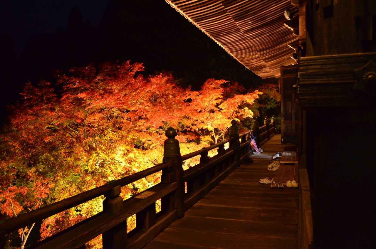 朝粥会前に播州清水寺紅葉ライトアップ再度撮影 前衆議院議員 高橋昭一 タカショウ 兵庫4区選出 ブログ 朝粥会前に播州清水寺紅葉ライトアップ再度撮影 前衆議院議員 高橋昭一 タカショウ 兵庫4区選出 ブログ