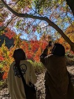 ⑤