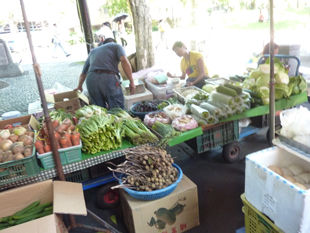 2014-8-29-8.jpg 2014-8-29-8.jpg