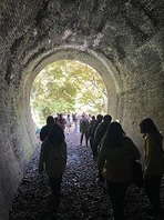 ④