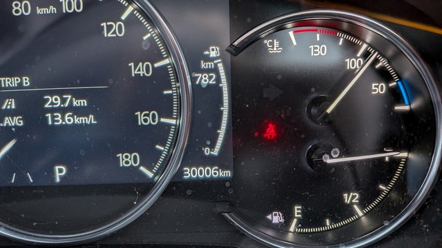 1000010239