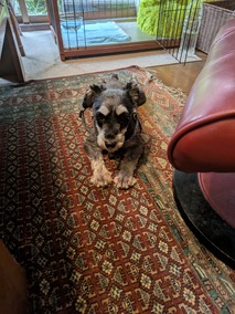 PXL_20251016_013000773