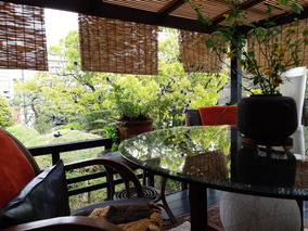 IMG_20220414_110256