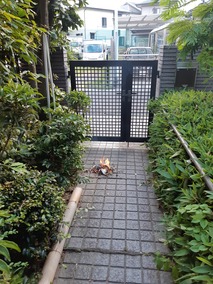 20190813_180910