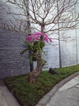 a78efe79.jpg