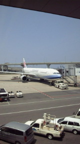 cea37d3b.jpg