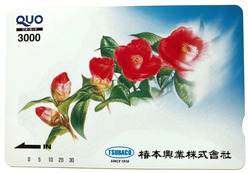 o10800810142343995661のコピー