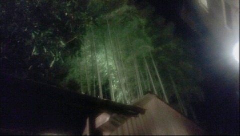 enstyle1522590923505