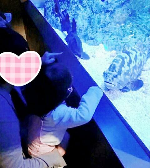 19-03-29-19-06-22-885_deco