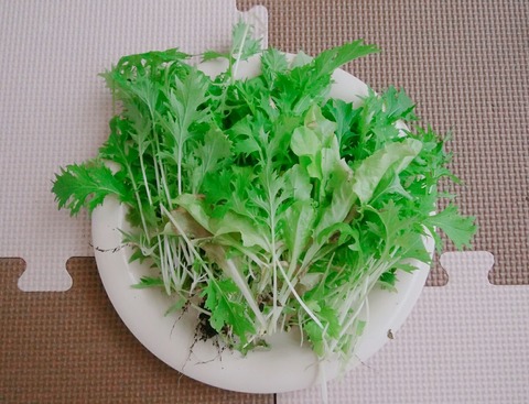 18-06-19-19-28-06-842_deco