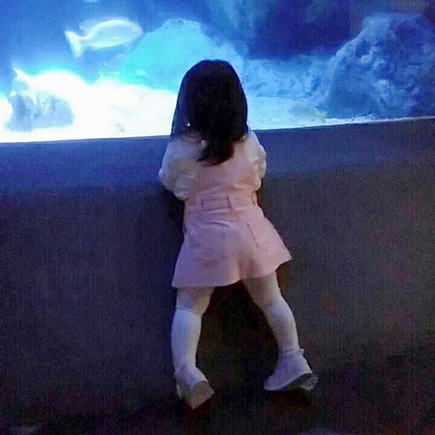 19-03-29-19-00-27-756_deco