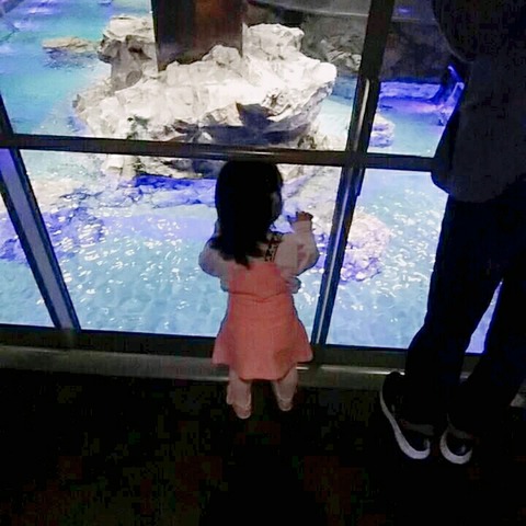 19-03-29-18-58-55-650_deco