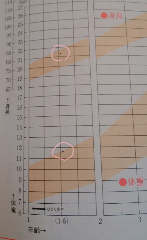 19-02-12-15-49-58-703_deco