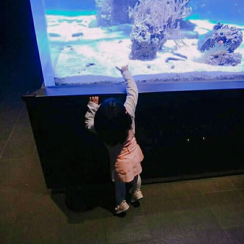 19-03-29-18-58-01-123_deco