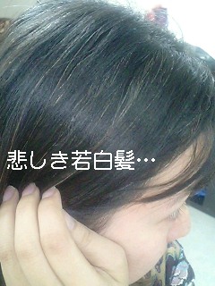 若白髪 その後 雲上快晴 Shokoの胸の内 若白髪 その後 雲上快晴 Shokoの胸の内