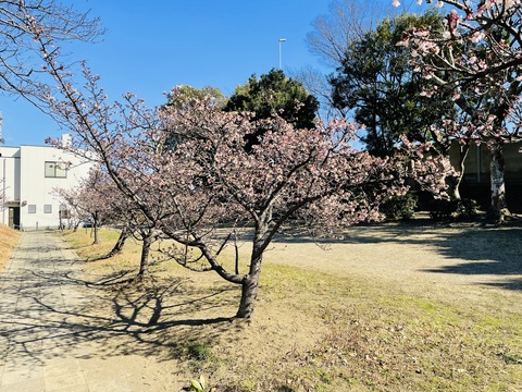 1月30日①