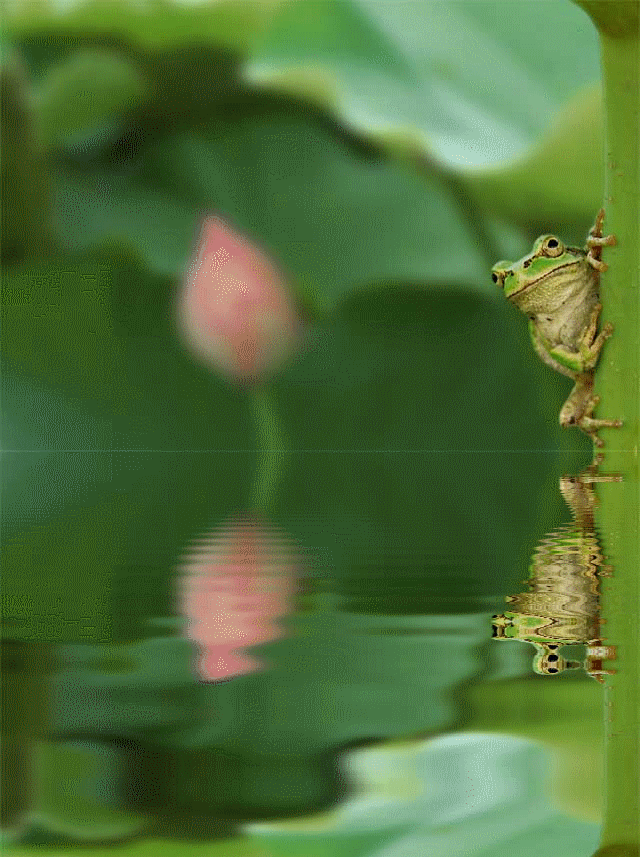 おもしろ加工 おもやい おもしろ加工 おもやい