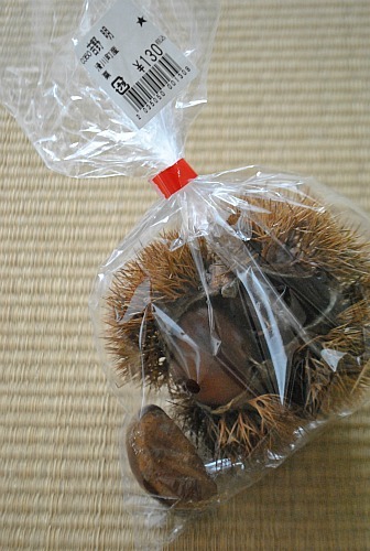 おのぼり主婦の暮らす見聞録
