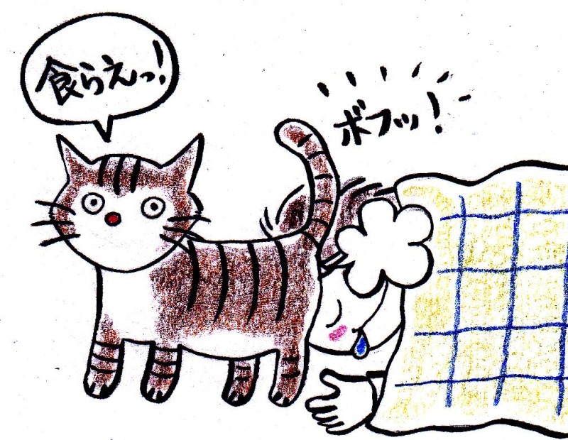 おのぼり主婦の東方見聞録