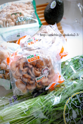 おのぼり主婦の暮らす見聞録