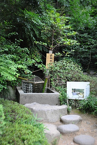 おのぼり主婦の暮らす見聞録