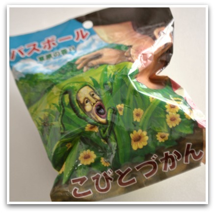 おのぼり主婦の東方見聞録