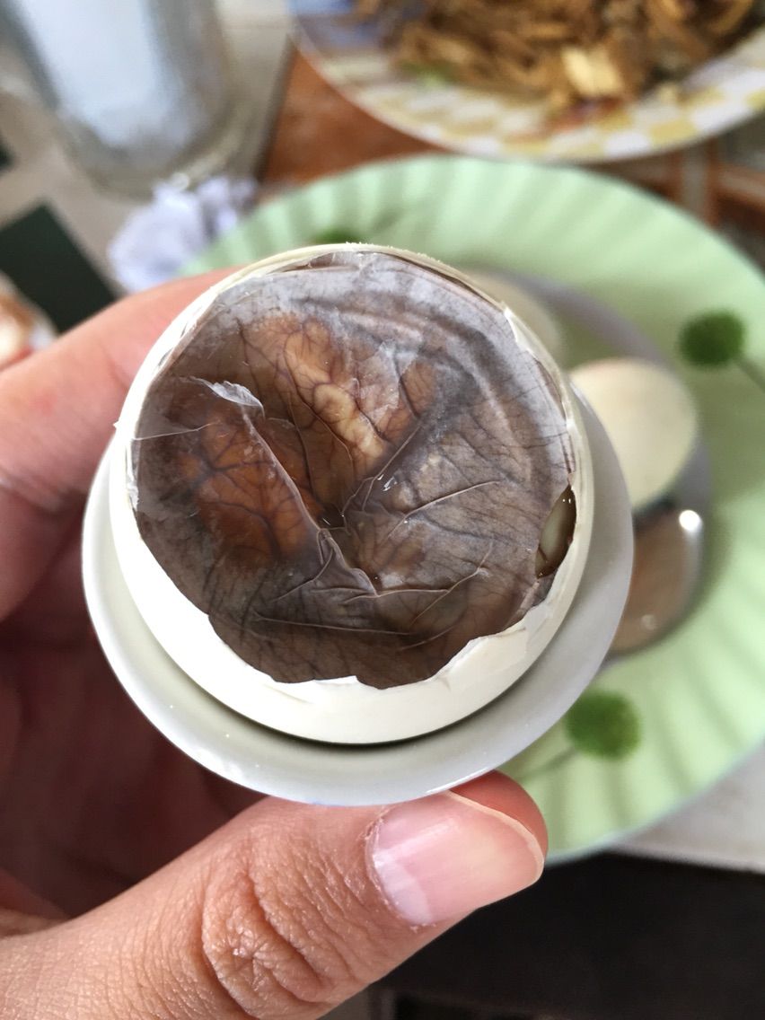閲覧注意 ベトナムで孵化前のアヒルの卵 ホビロン を食べてみた Tabieh 閲覧注意 ベトナムで孵化前のアヒルの卵 ホビロン を食べてみた Tabieh