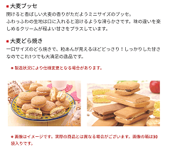 ロスゼロブッセ5