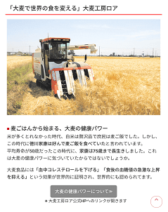 ロスゼロブッセ6
