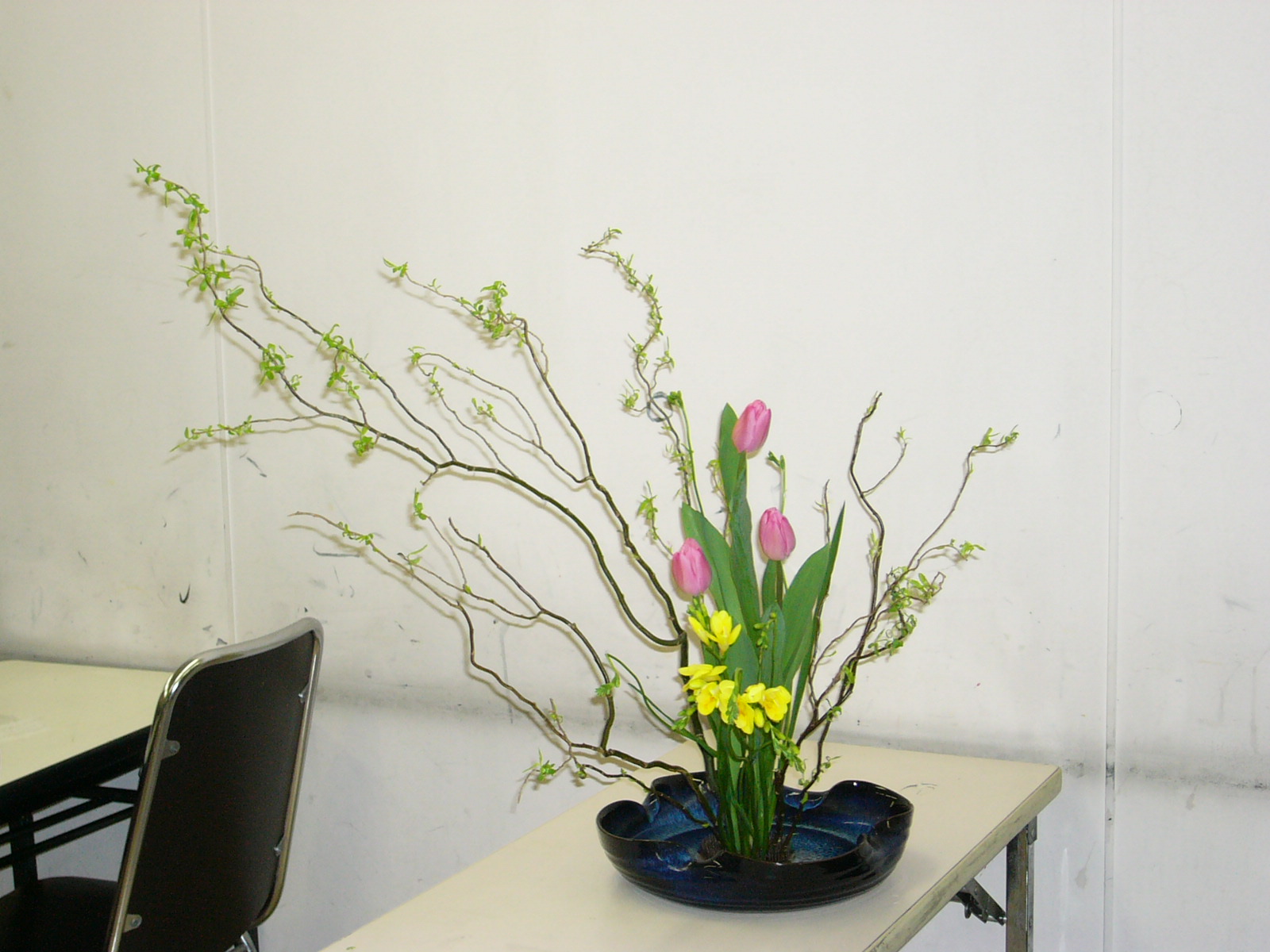 雲竜柳の生け方の比較 植物と楽しむ