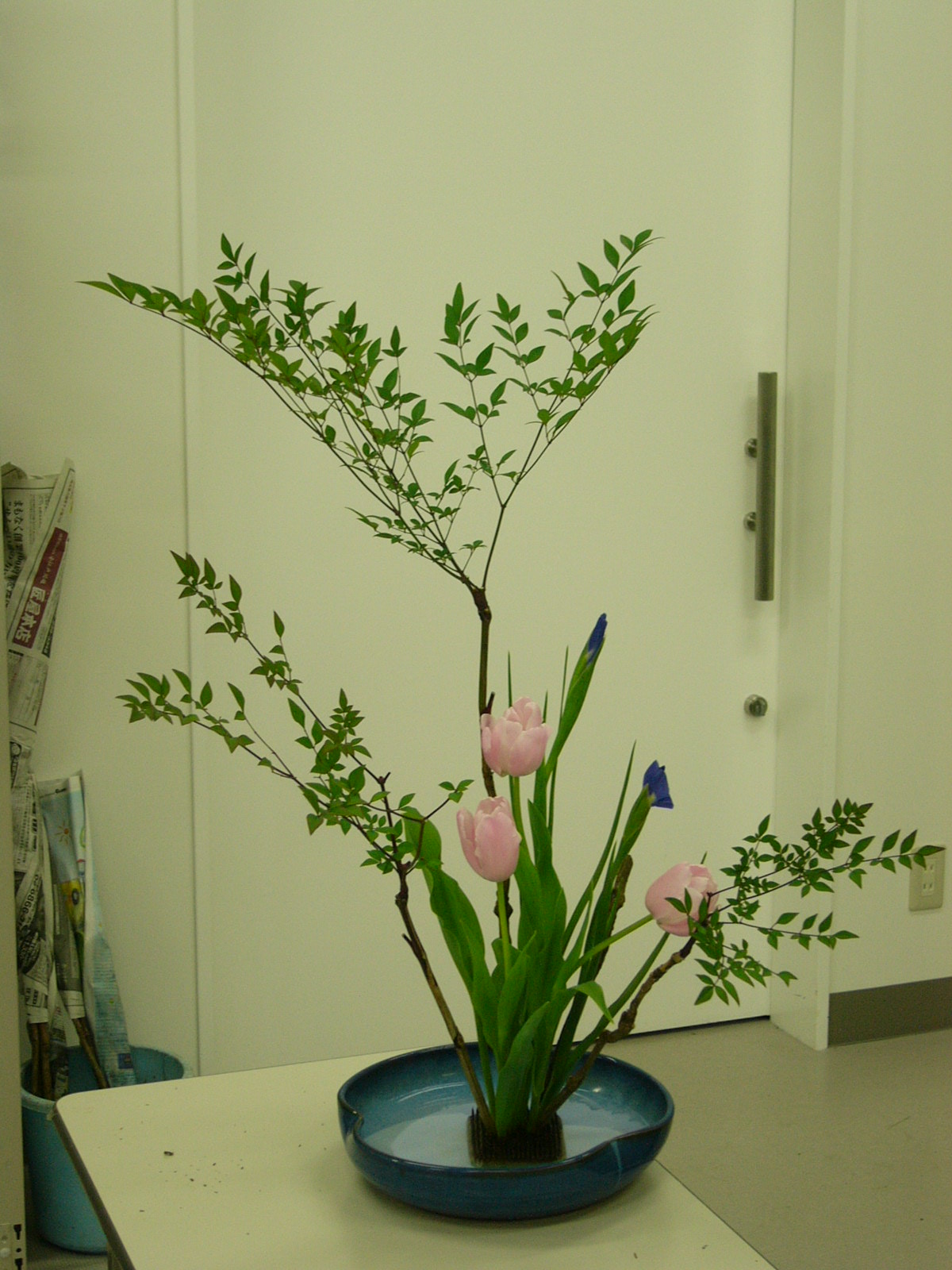 姫南天 植物と楽しむ