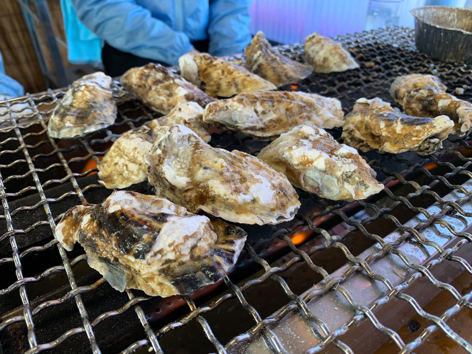 福岡県北九州市の誇る食のブランドに「豊前海一粒かき」があります。殻いっぱいに身が詰まり、大粒で濃厚な味わいが特徴で、寒い時季のみ食べられる ...