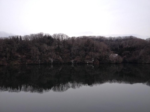 12549098_534530303382922_8655138661289211218_n