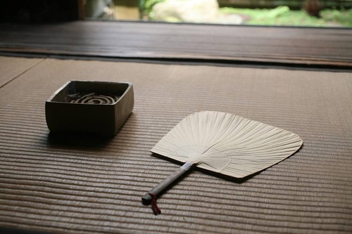 19665568_805528812949735_8978341826339508140_n