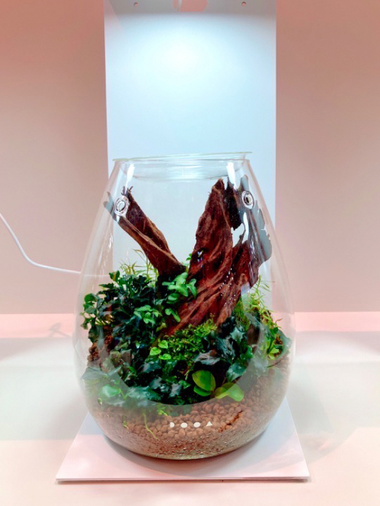 ADA LAB ガラスディスプレイケース 調光機能付き ADA LAB ガラスディスプレイケース 調光機能付き ADA LAB ガラス