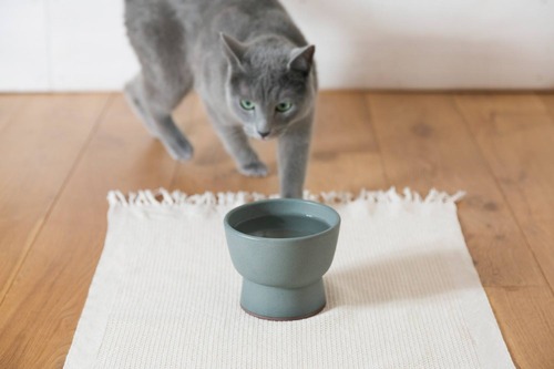 13320418_592266550942630_7121874823496673020_o