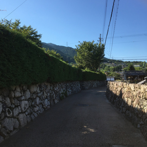 S__37076999