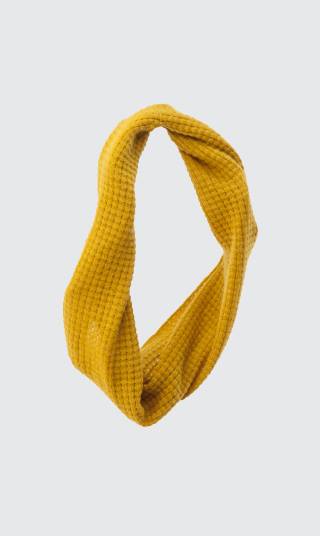 12366388_521998821302737_7874234282917159836_n