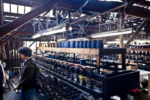 16114420_711950882307529_1049153789208680047_n