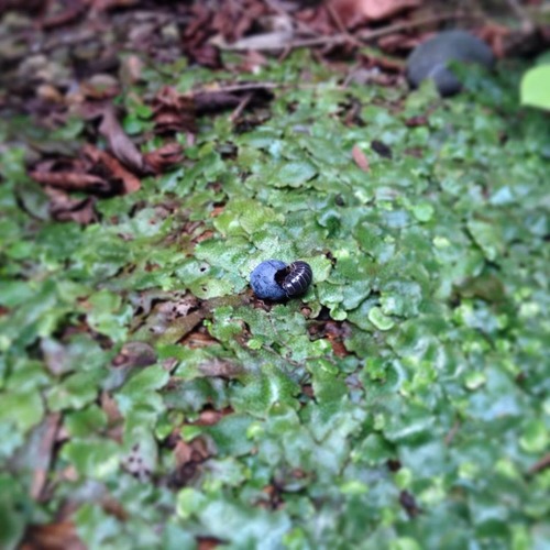 11170365_487913248044628_684776335743445772_n