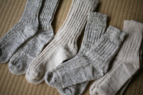 15109529_680057025496915_3290904068410475113_n