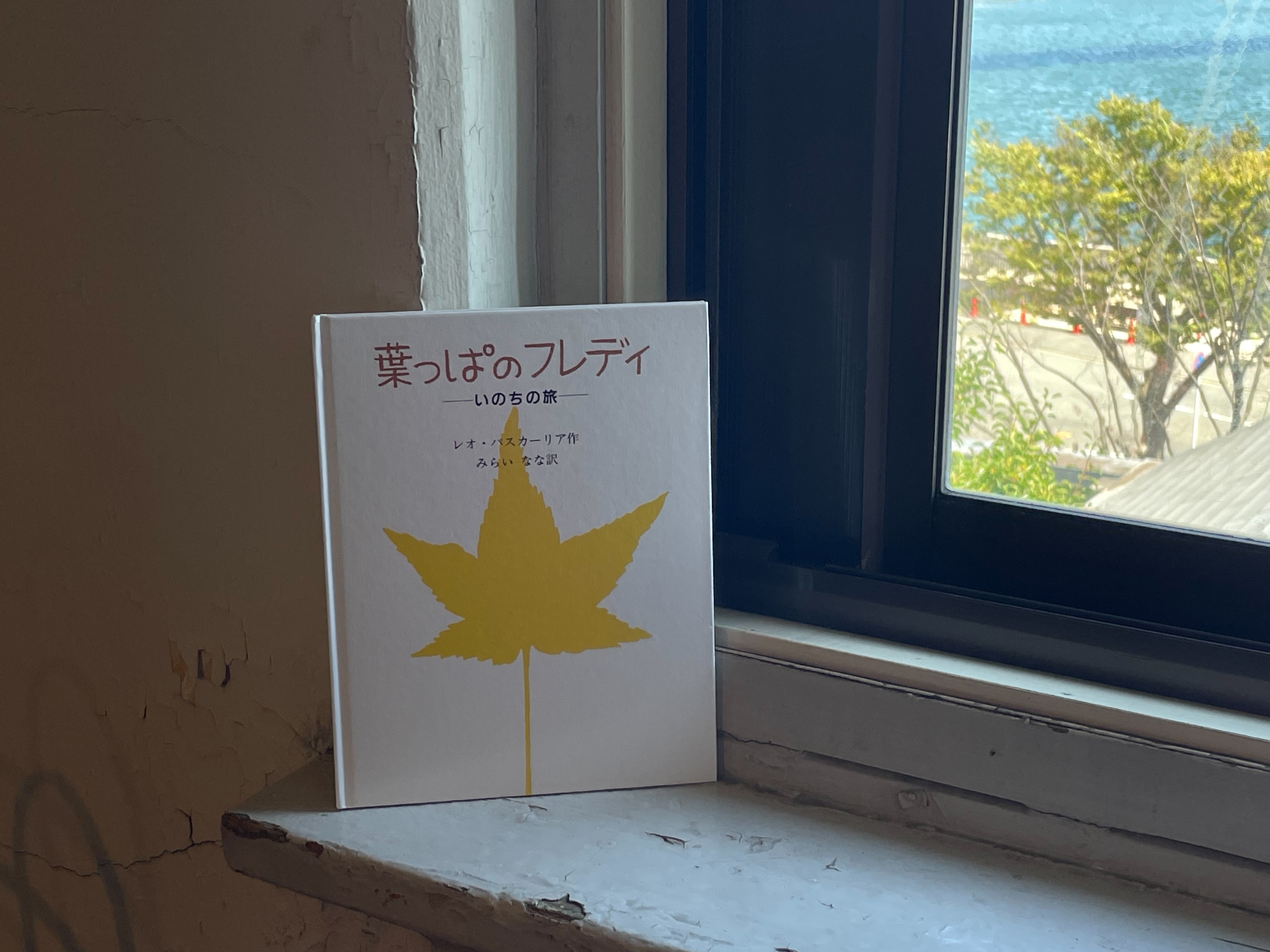 秋になり、紅葉していく葉っぱを見ると思い出す絵本『葉っぱのフレディ 